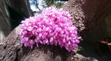 Гостиница Barabulka Ялта